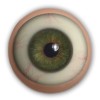 Moveable Eyes  + $66.67 