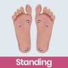 Standing Feet  + $70.00 